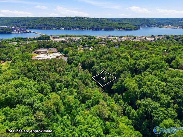 Lot 14 Lusk Street, Guntersville, AL 35976