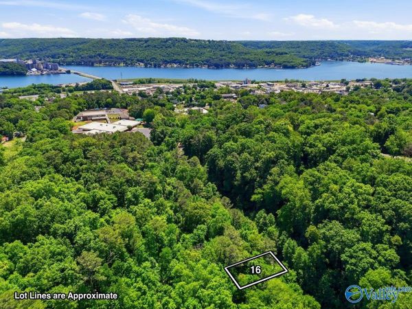 Lot 16 Lusk Street, Guntersville, AL 35976