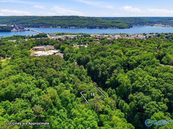 Lot 18 Lusk Street, Guntersville, AL 35976