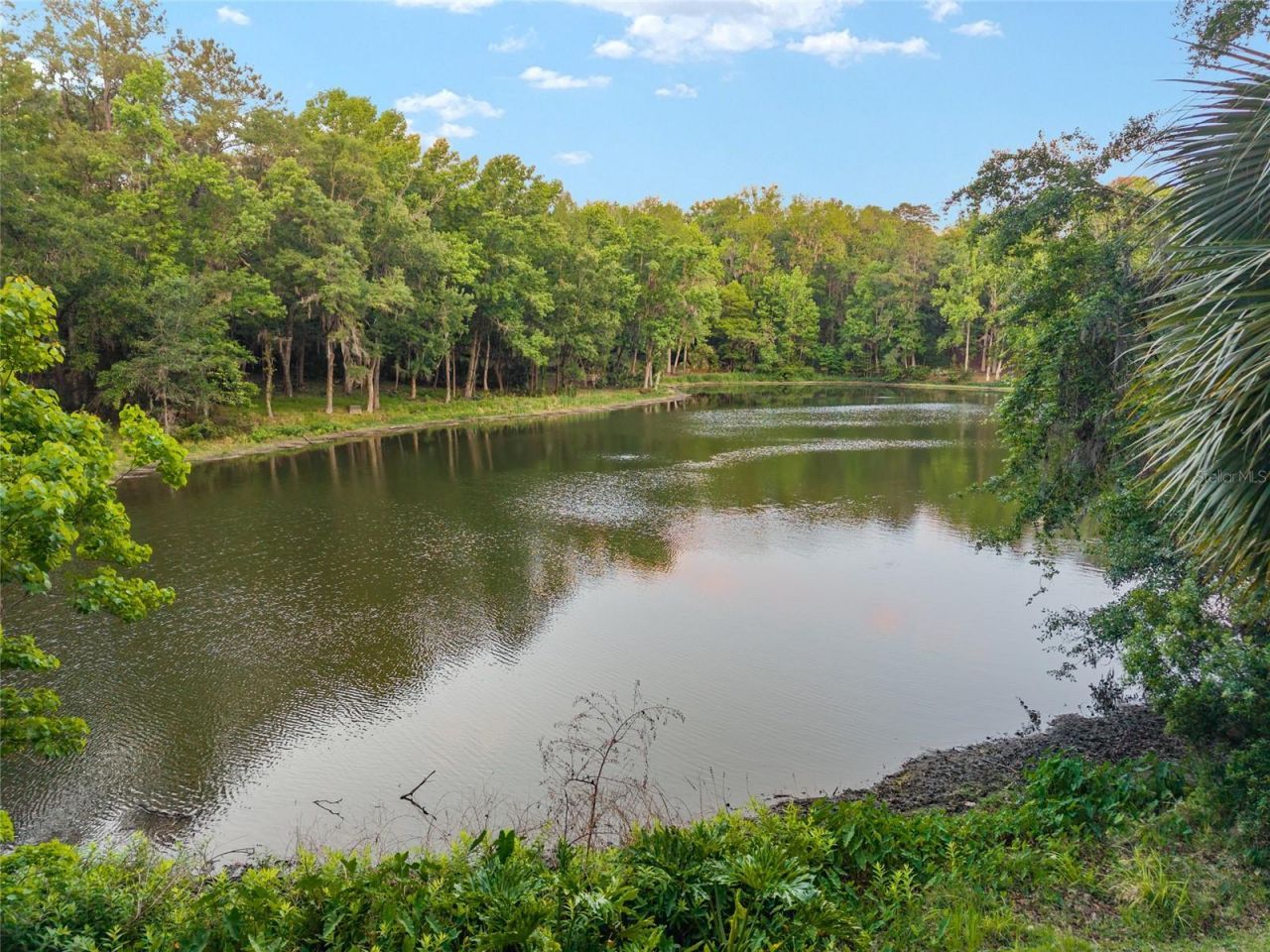 9417 NW 59th Lane, Gainesville, FL 32653 Photo