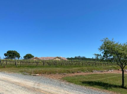 18687 Rosemary Ln, Grass Valley, CA 95949 Photo