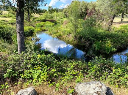 18687 Rosemary Ln, Grass Valley, CA 95949 Photo