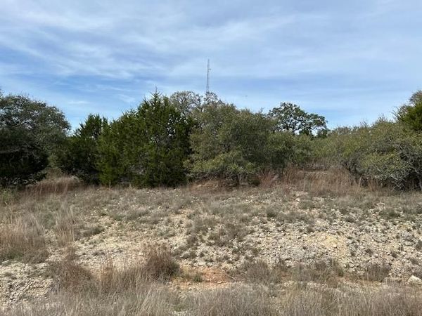 106 Thomas Frost , Blanco, TX 78606