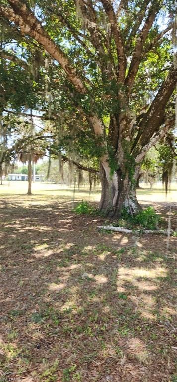 75 Ft Denaud Bridge Way , Labelle, FL 33935 Photo