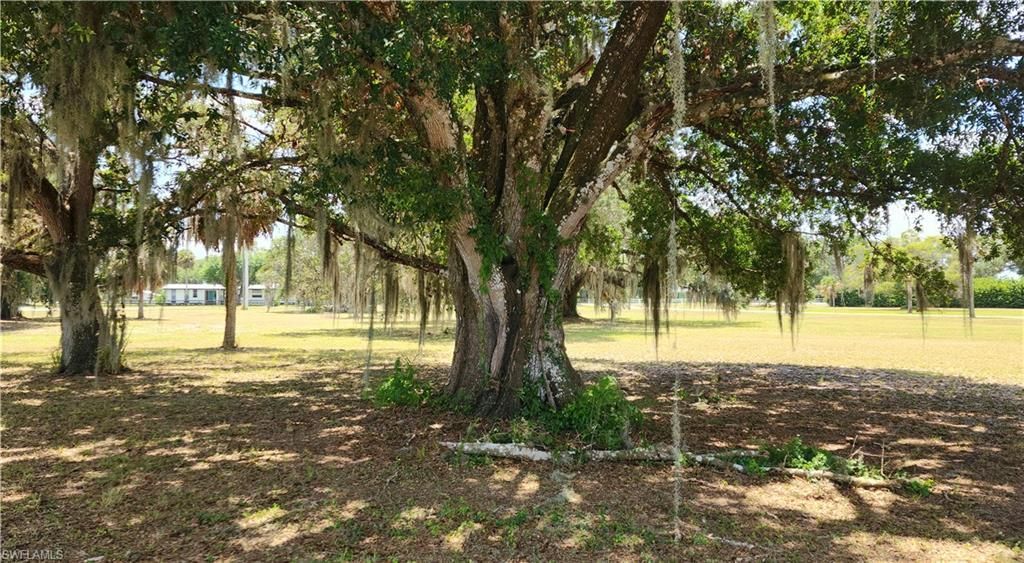 75 Ft Denaud Bridge Way , Labelle, FL 33935 Photo