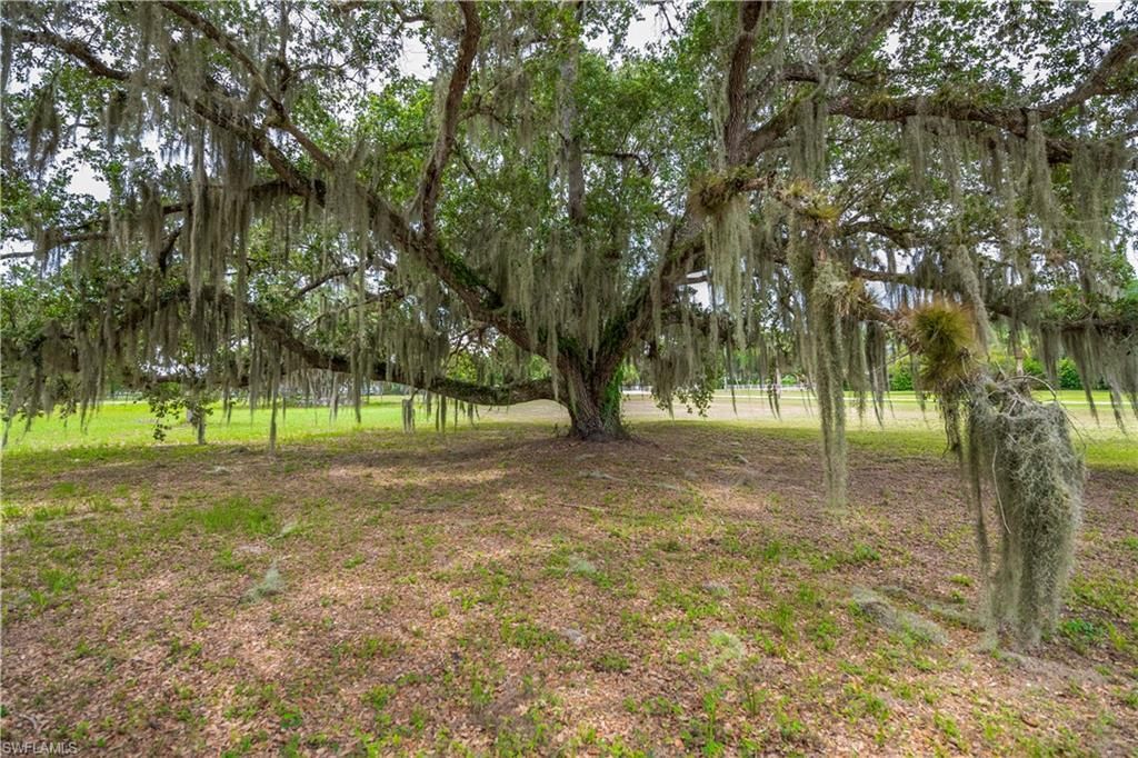 75 Ft Denaud Bridge Way, Labelle, FL 33935 Photo