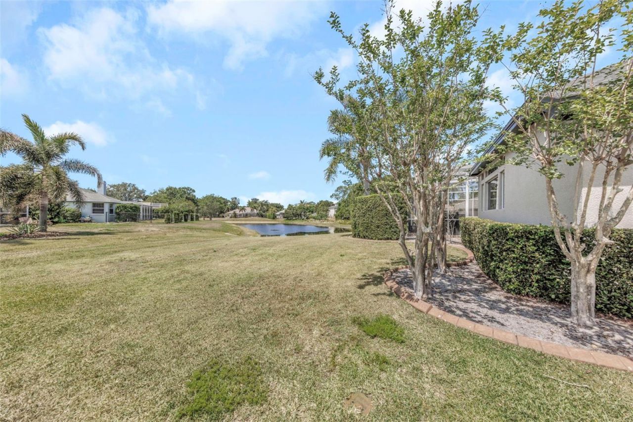 3716 Janus Way, Palm Harbor, FL 34685 Photo