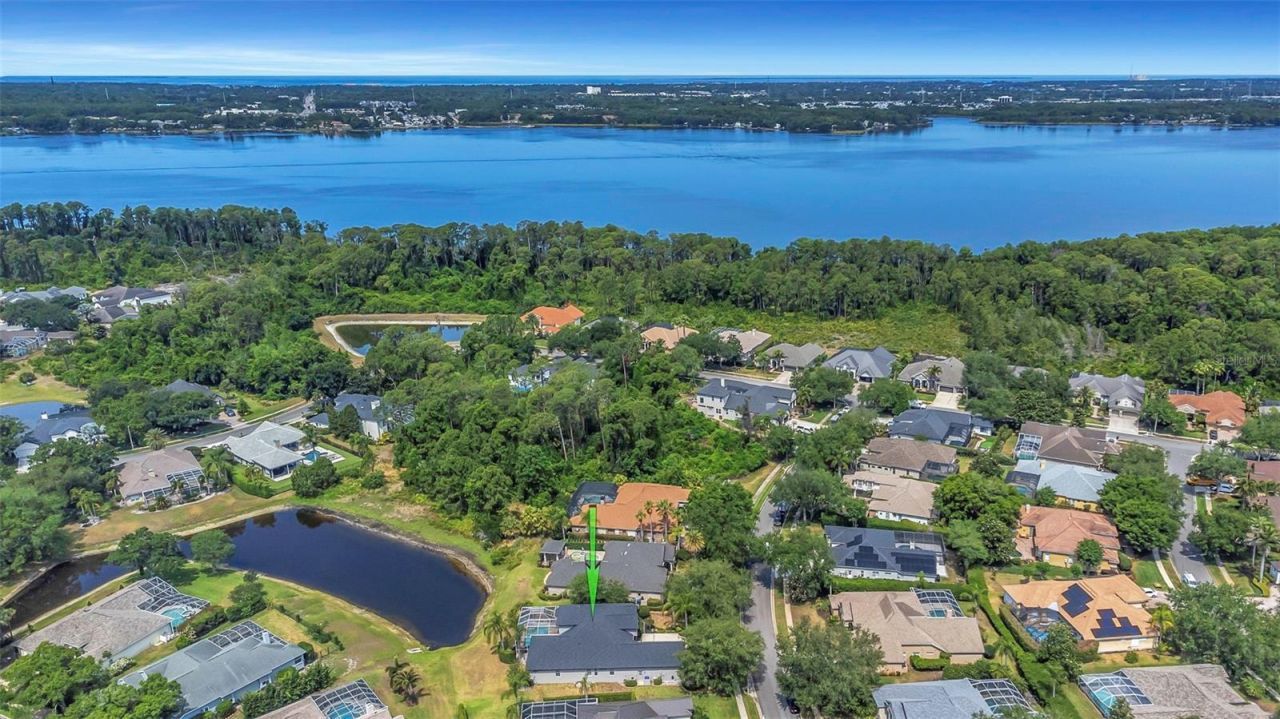 3716 Janus Way, Palm Harbor, FL 34685 Photo