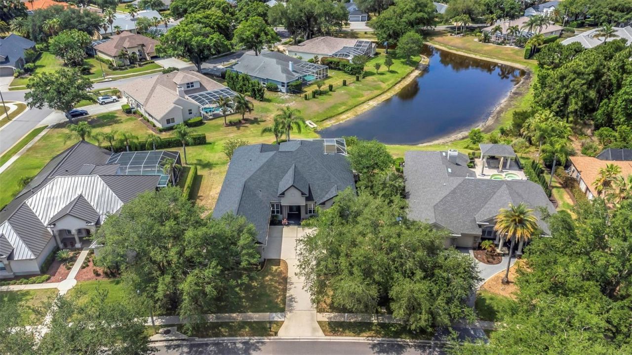 3716 Janus Way, Palm Harbor, FL 34685 Photo