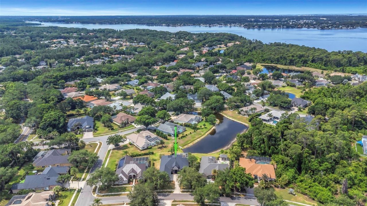 3716 Janus Way, Palm Harbor, FL 34685 Photo