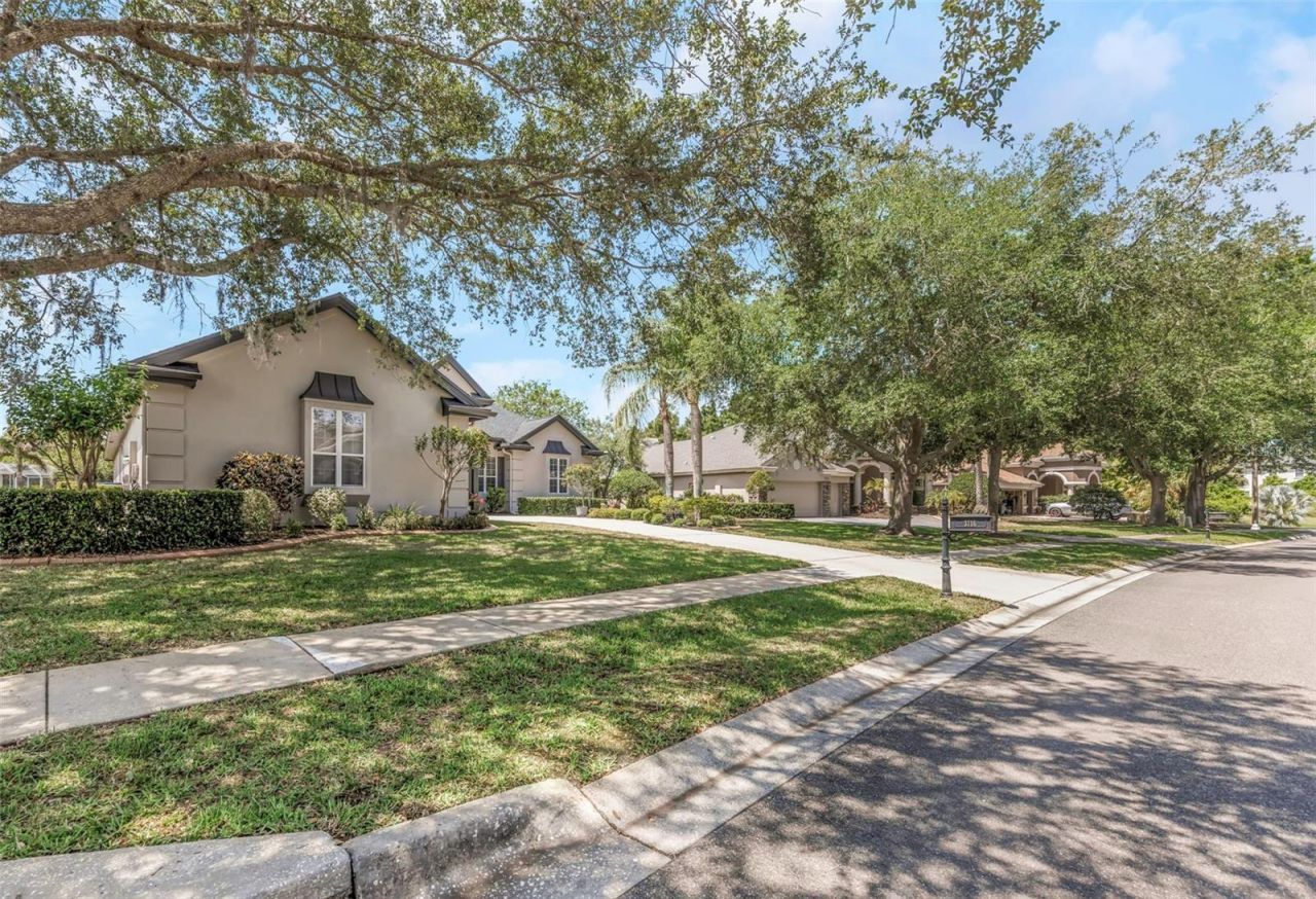 3716 Janus Way, Palm Harbor, FL 34685 Photo