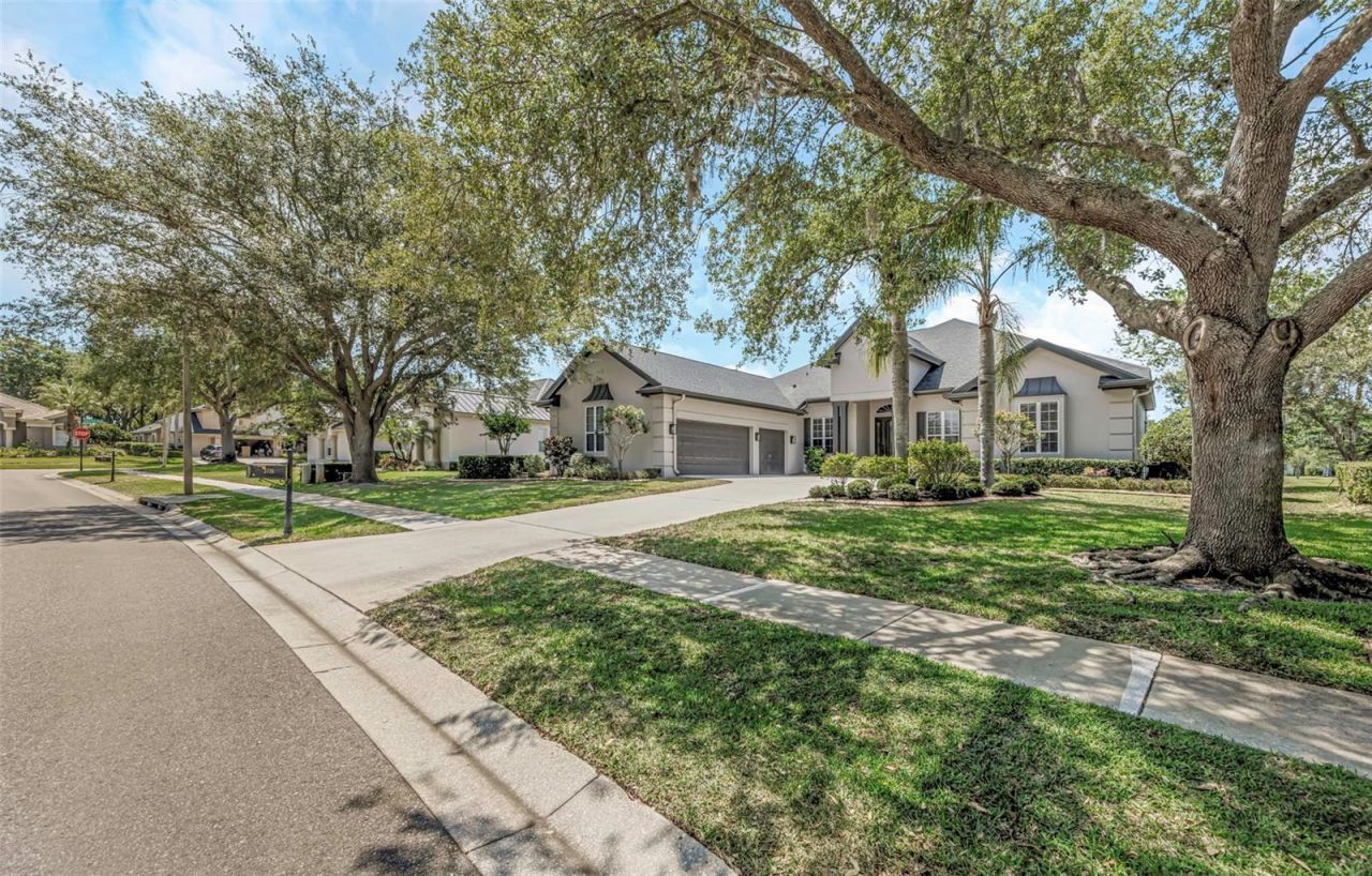 3716 Janus Way, Palm Harbor, FL 34685 Photo