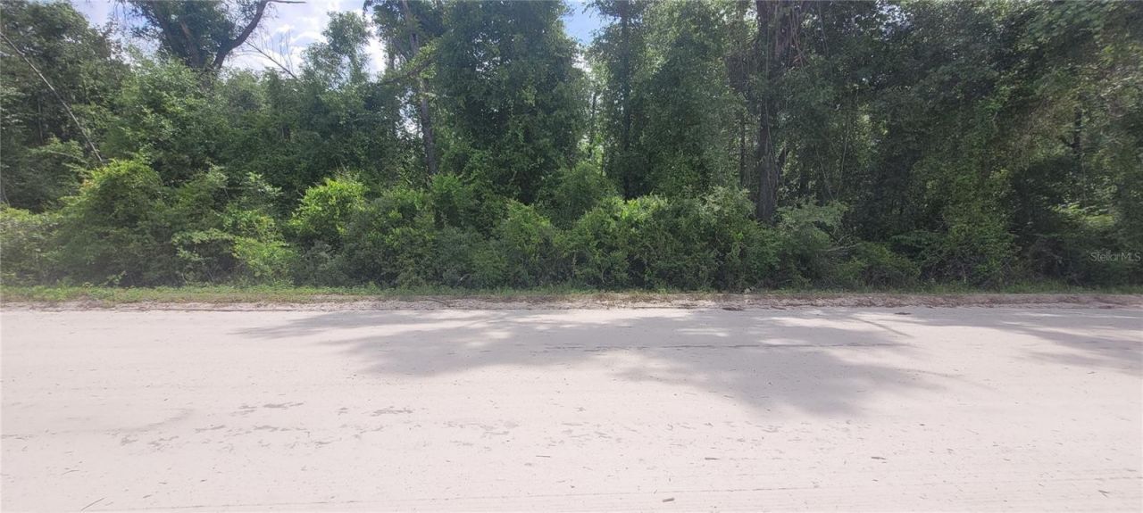 0 Suntilt Court, White Springs, FL 32096 Photo