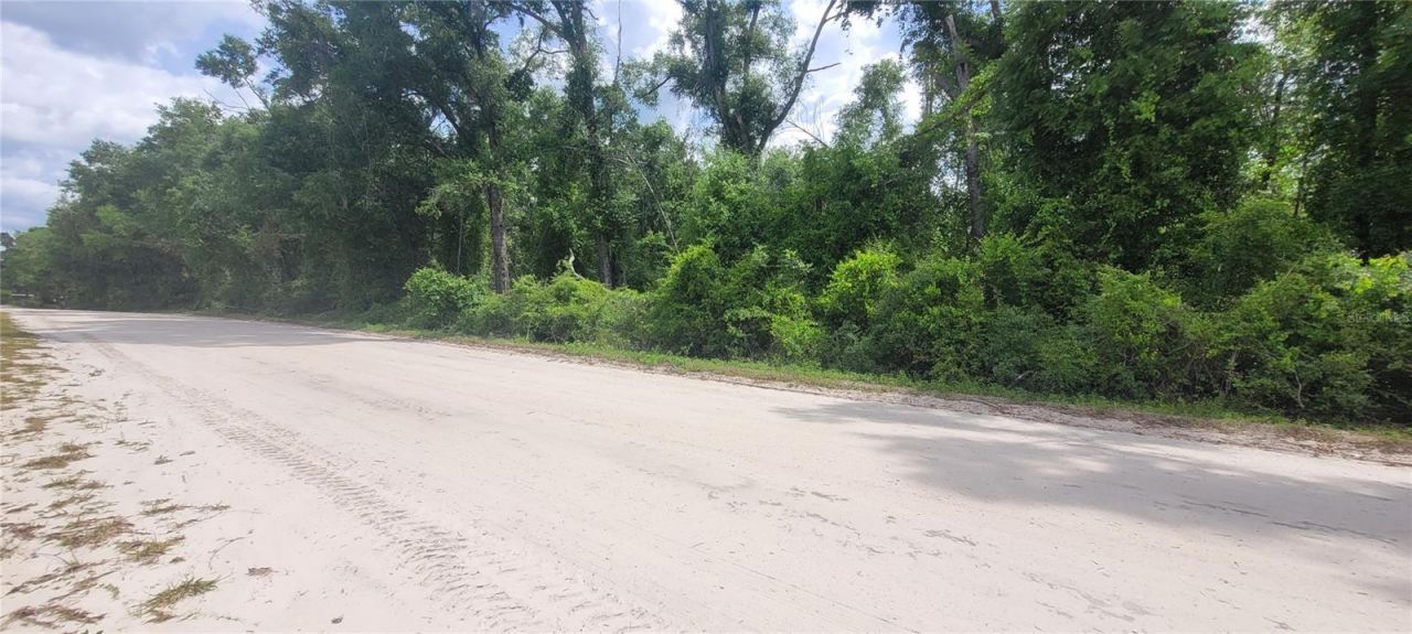 0 Suntilt Court, White Springs, FL 32096 Photo