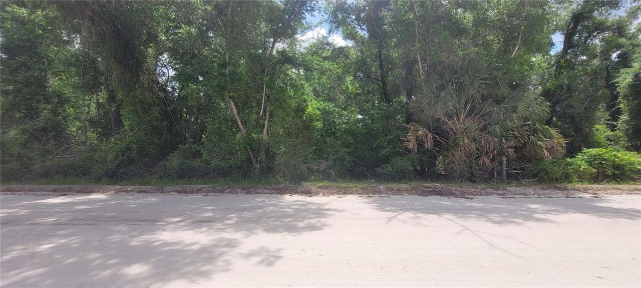0 Suntilt Court, White Springs, FL 32096 Photo