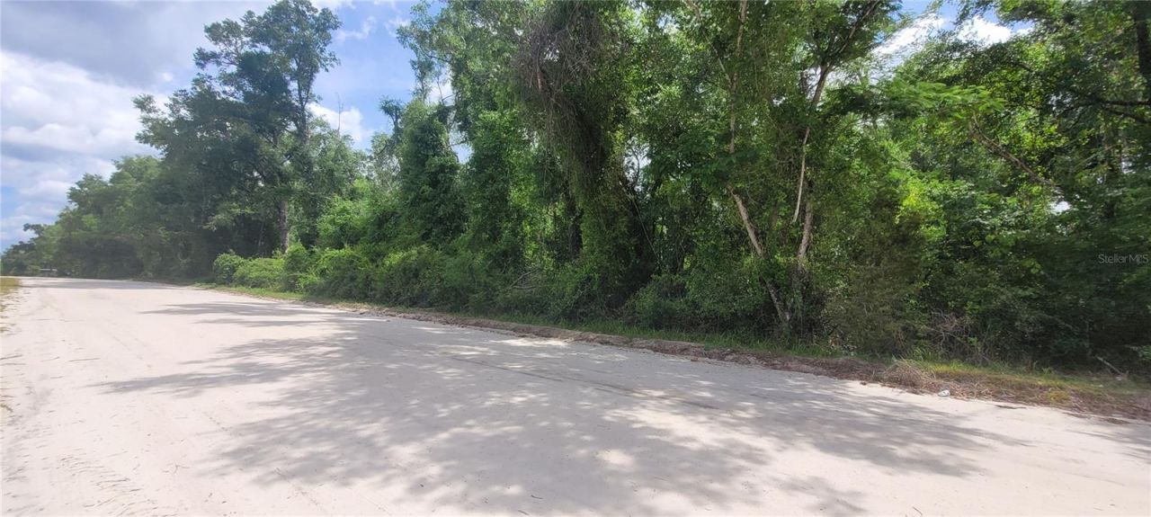 0 Suntilt Court, White Springs, FL 32096 Photo