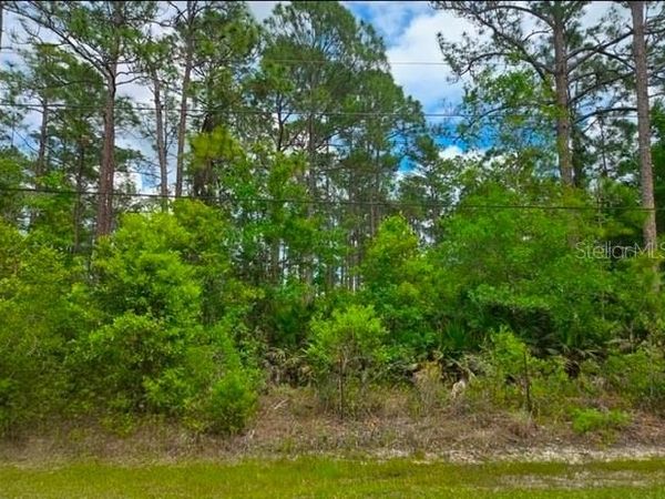 1747 CANDLEBERRY STREET , BUNNELL, FL 32110