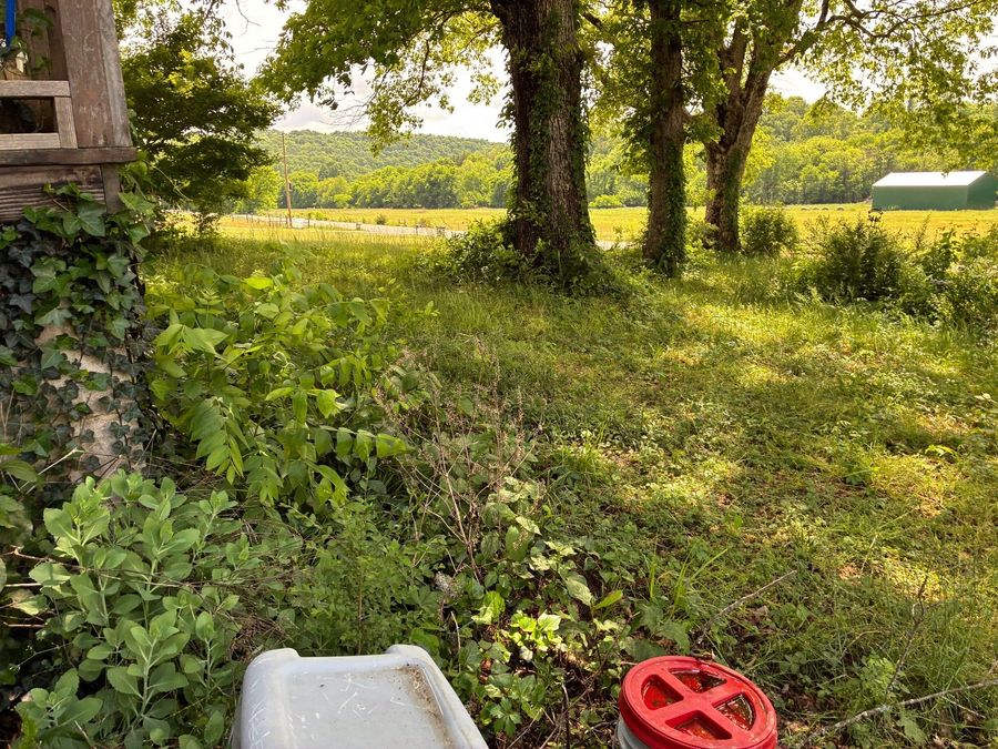 Property Image 43
