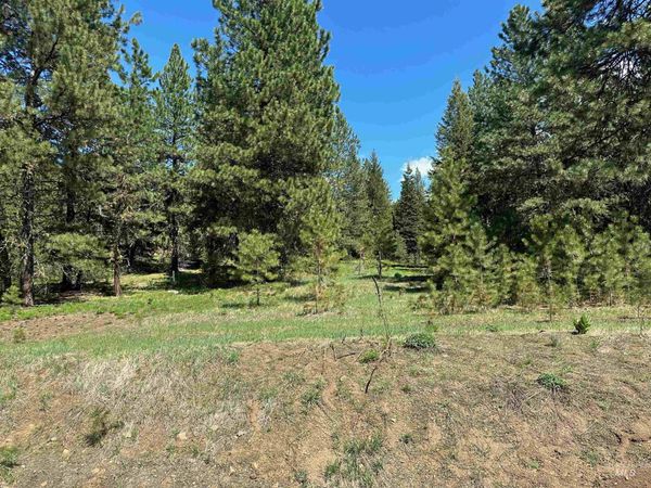 TBD Whitefield Lane, McCall, ID 83638