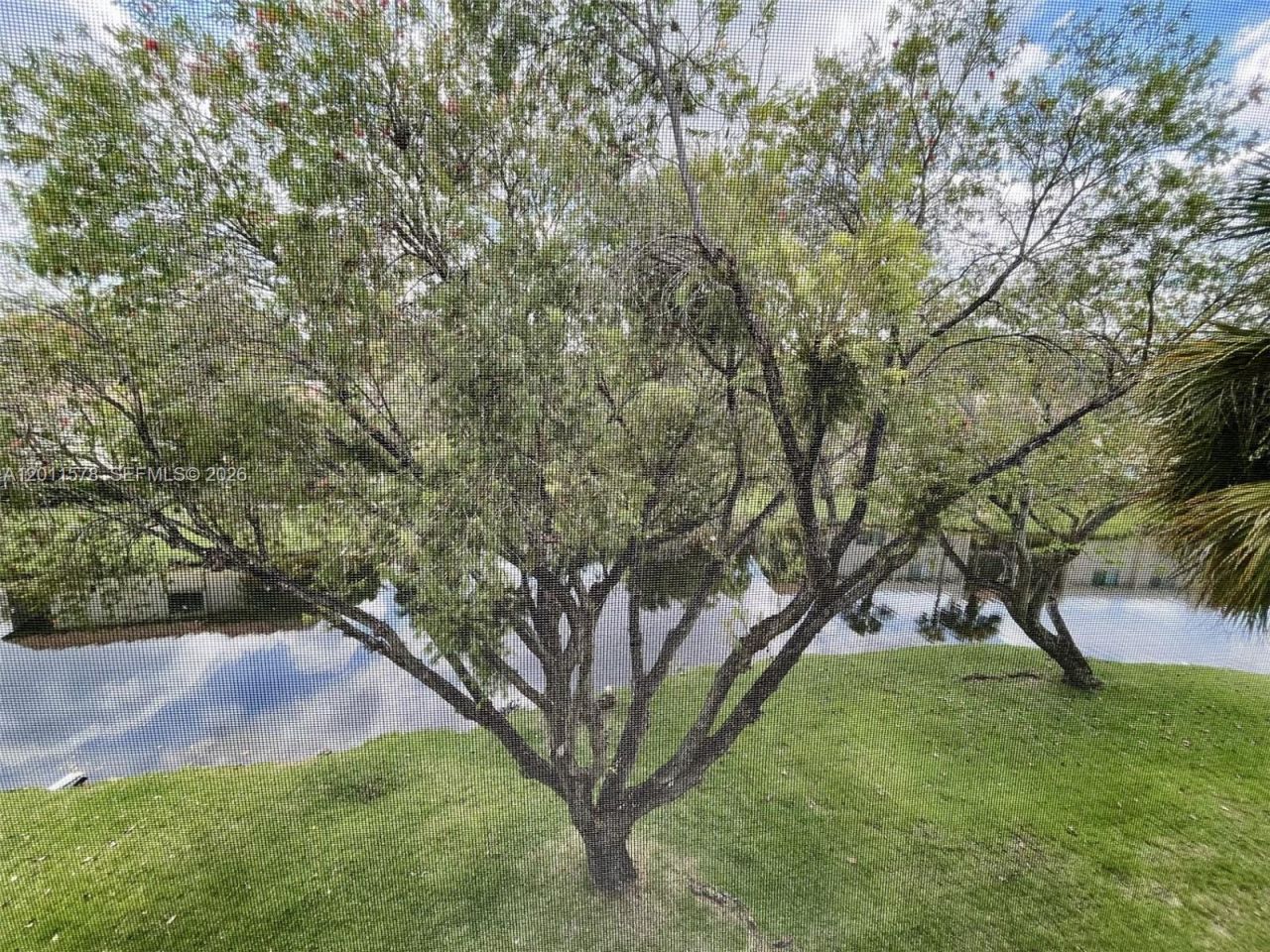 491 Racquet Club Rd , Unit 303, Weston, FL 33326 Photo