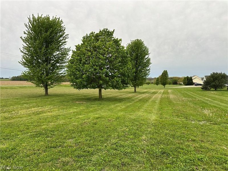 4840 N Honeytown Road, Smithville, OH 44677 Photo 5