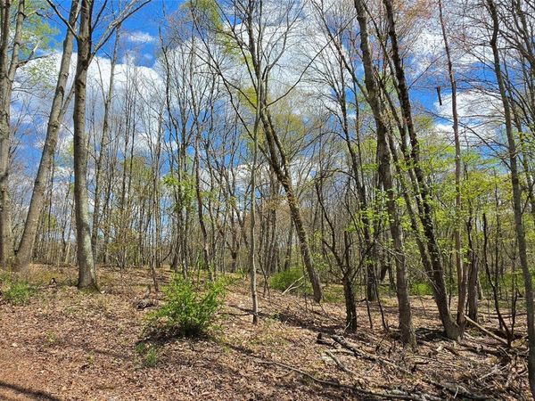 Lot 17.14 Skipperene Road , Cochecton, NY 12726