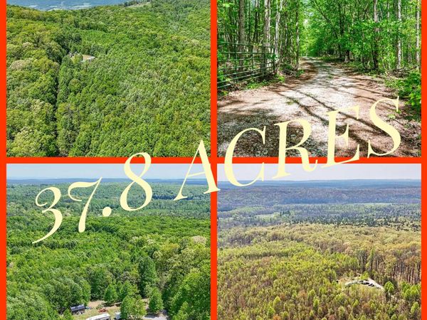 1867 Big Ridge Road, Spring City, TN 37381