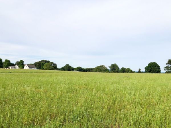 0 Old Holders Cove Rd, Winchester, TN 37398