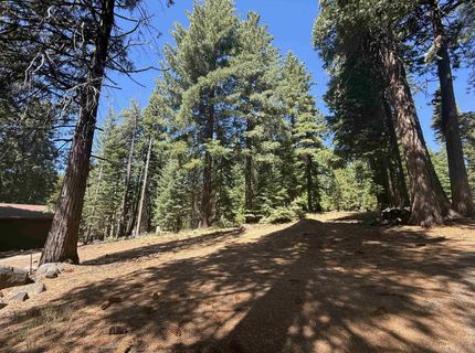 669 Peninsula Drive, Lake Almanor, CA 96137 Photo
