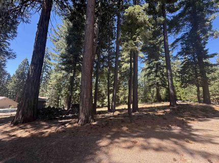 669 Peninsula Drive, Lake Almanor, CA 96137 Photo