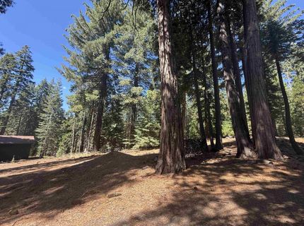 669 Peninsula Drive, Lake Almanor, CA 96137 Photo