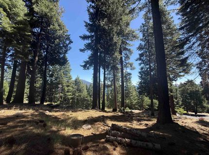 669 Peninsula Drive, Lake Almanor, CA 96137 Photo