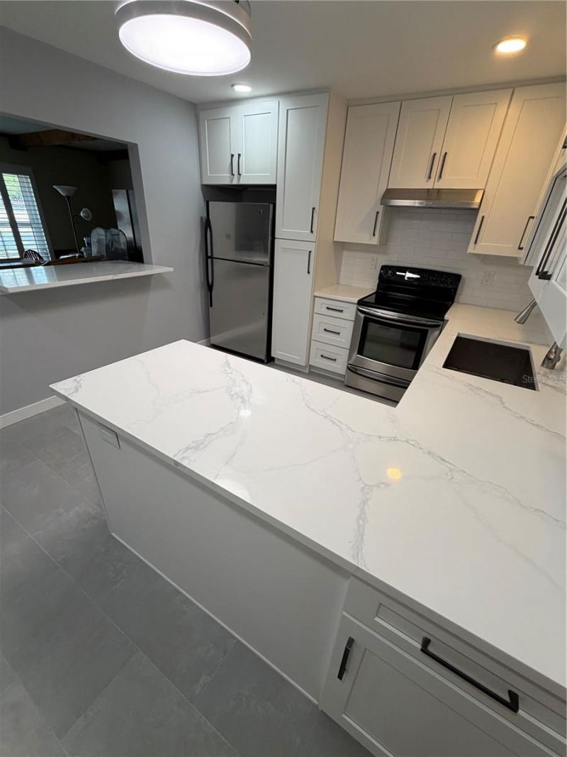 104 N Orion Avenue, Clearwater, FL 33765 Photo