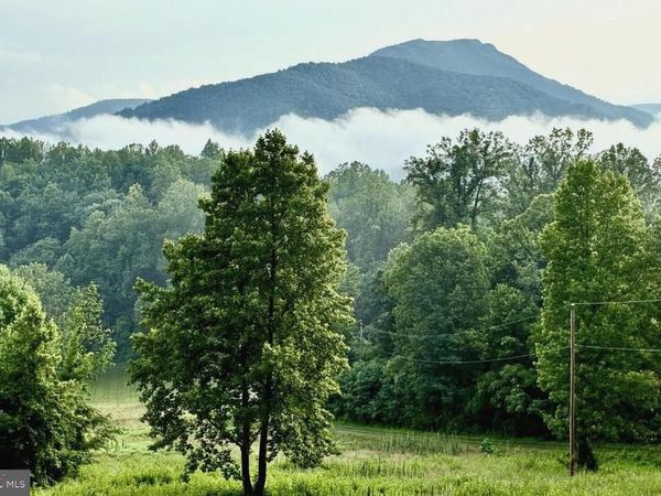 32 NEW MOON LANE, SPERRYVILLE, VA 22740