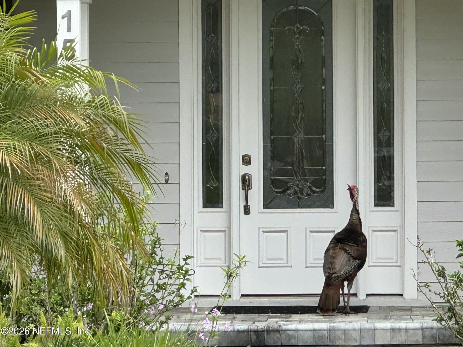 156 & 158 Mount Royal Avenue, Crescent City, FL 32112 Photo