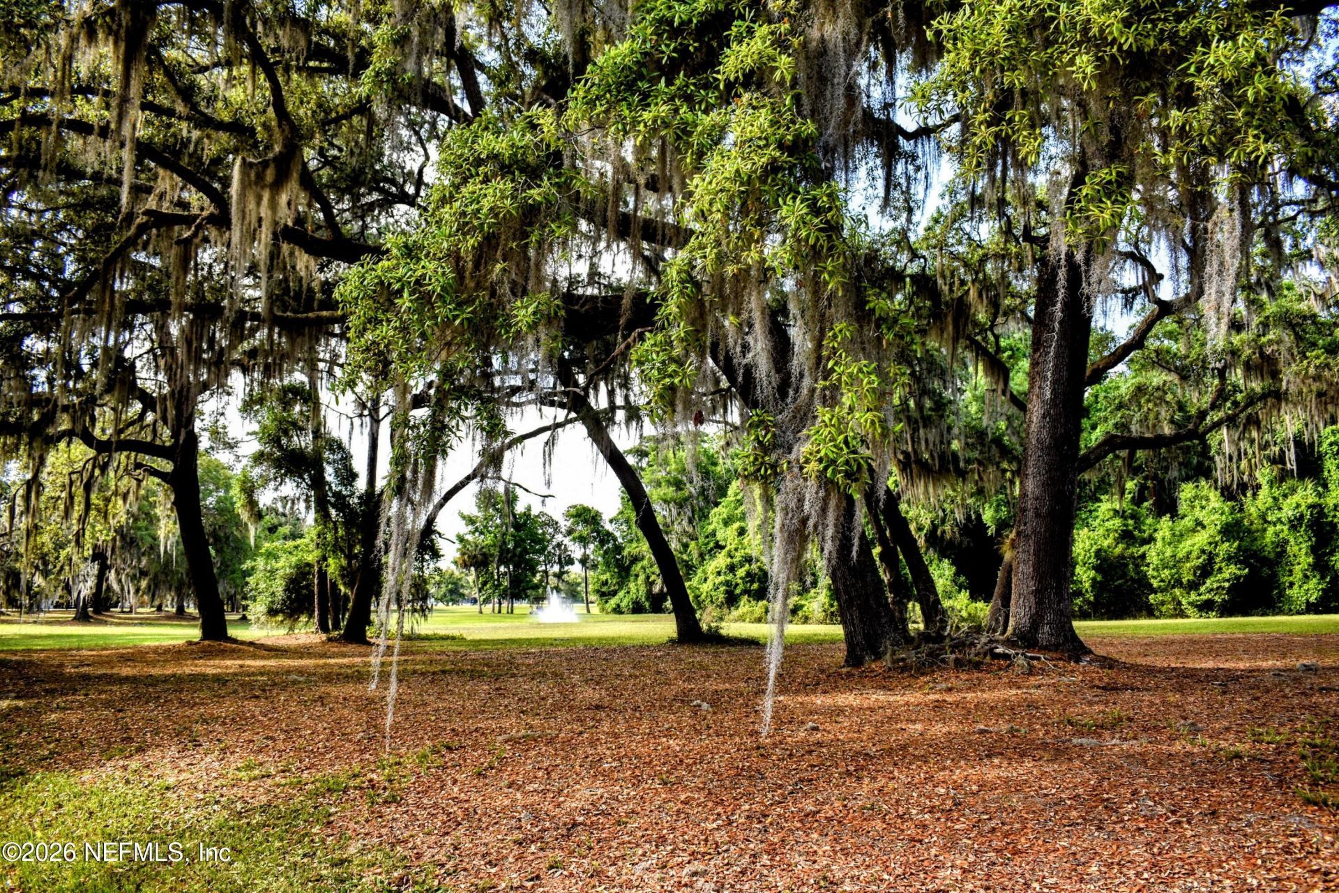156 & 158 Mount Royal Avenue, Crescent City, FL 32112 Photo