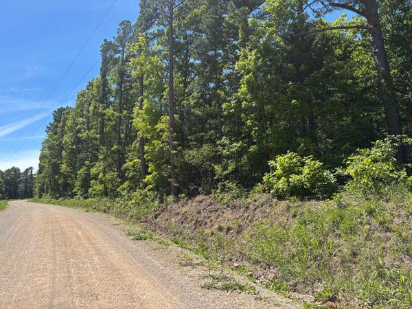 Tbd County Road 154 , Brixey, MO 65618