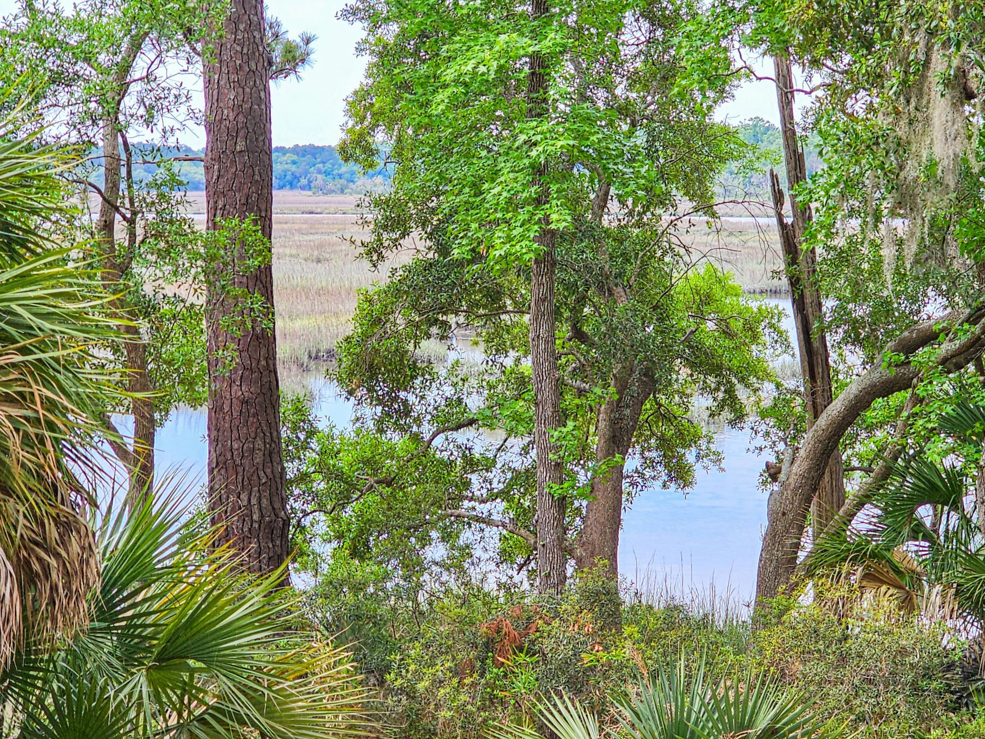 17 Blake Lane Photo 58