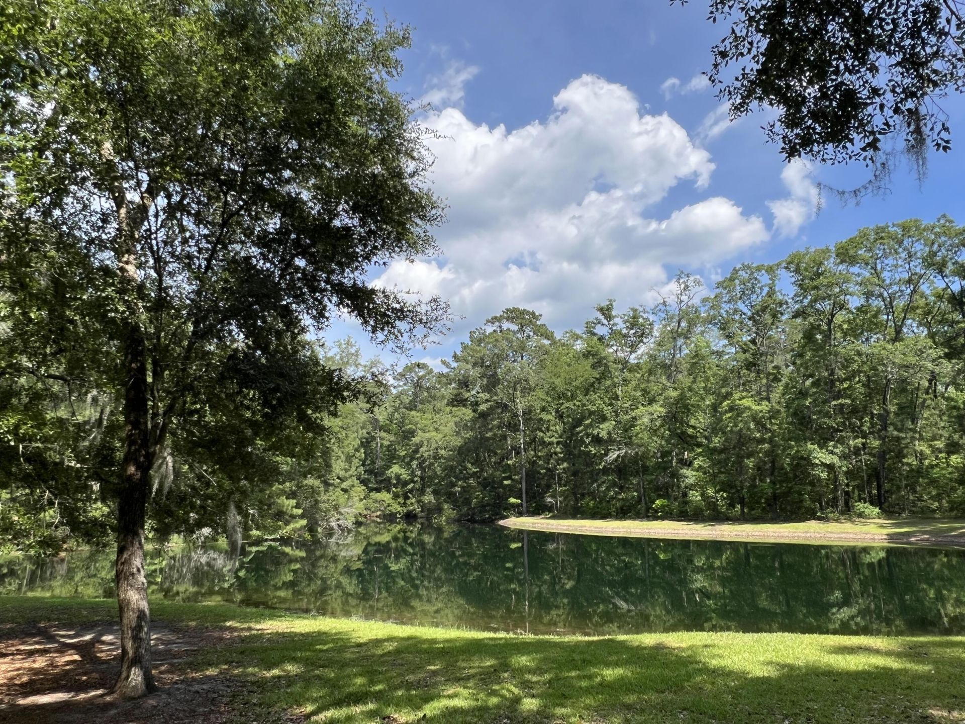 17 Blake Lane Photo 59