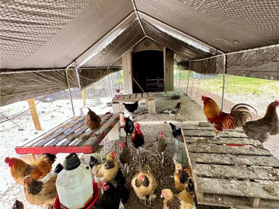 Property Image 38