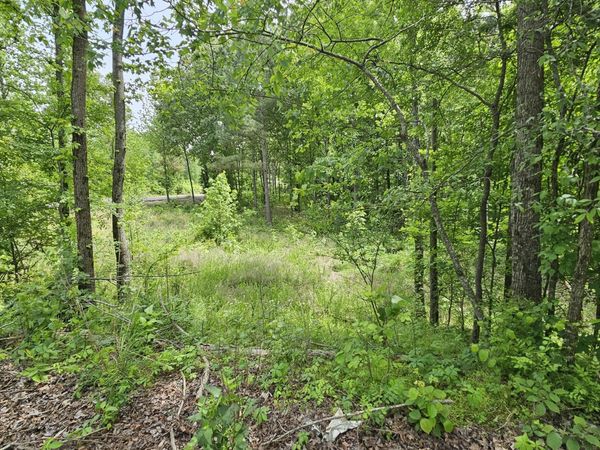 104 Sidney Baird Road , Bradford, TN 38316