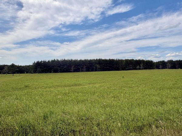 3785 Grant 9, Sheridan, AR 72150
