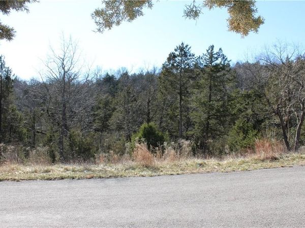 15 Deer Run Drive , Holiday Island, AR 72631