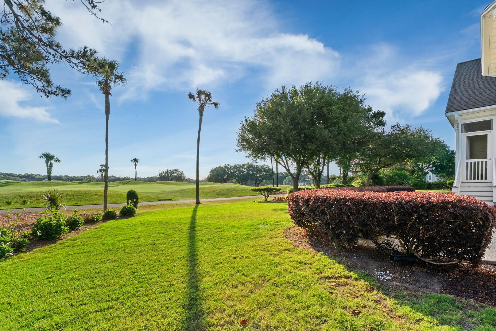 4427 Hope Plantation Drive Photo 53