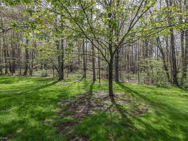 10297 Independence Drive, North Royalton, OH 44133 Photo 31