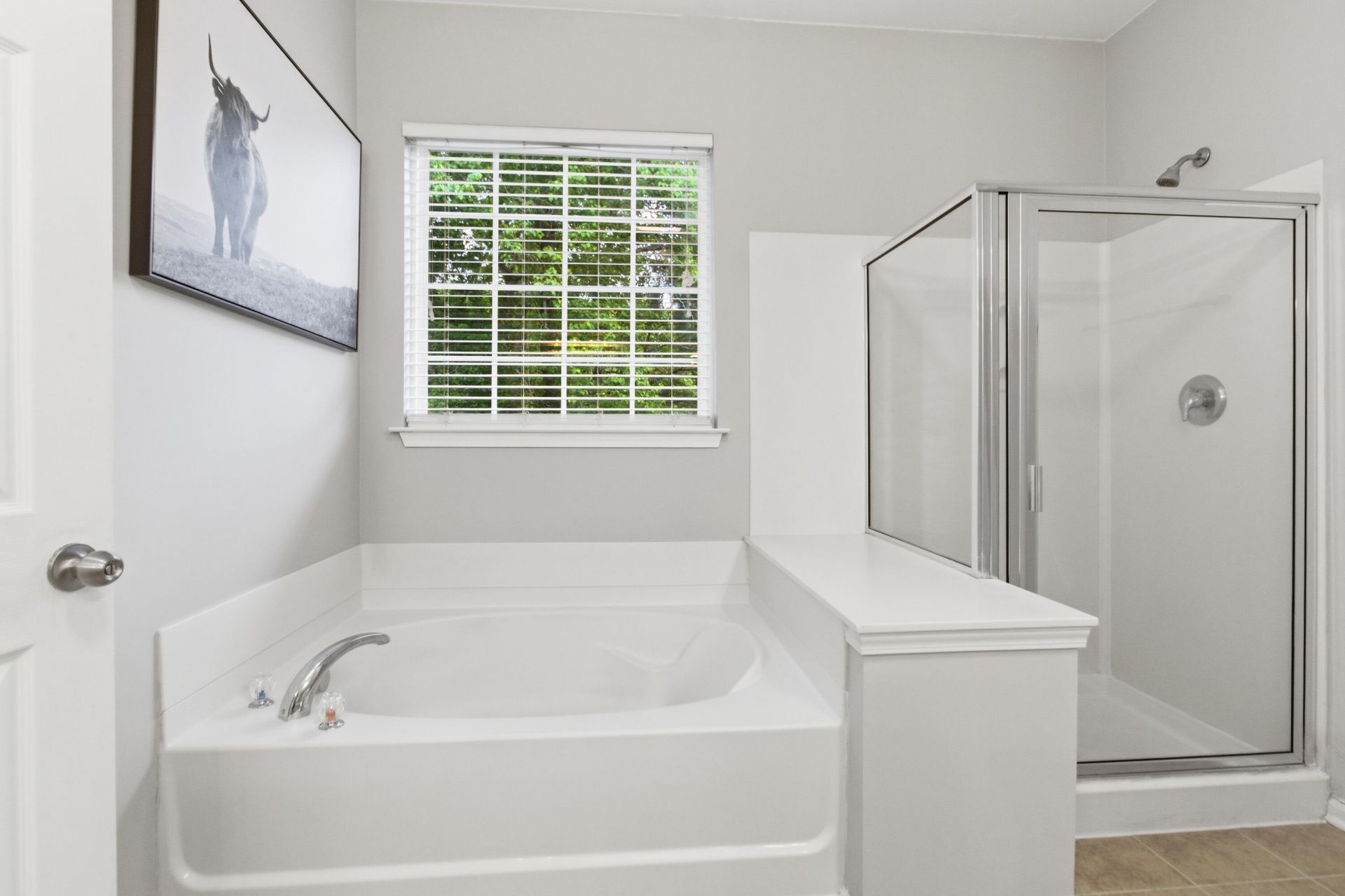 1623 Cristalino Circle Photo 39