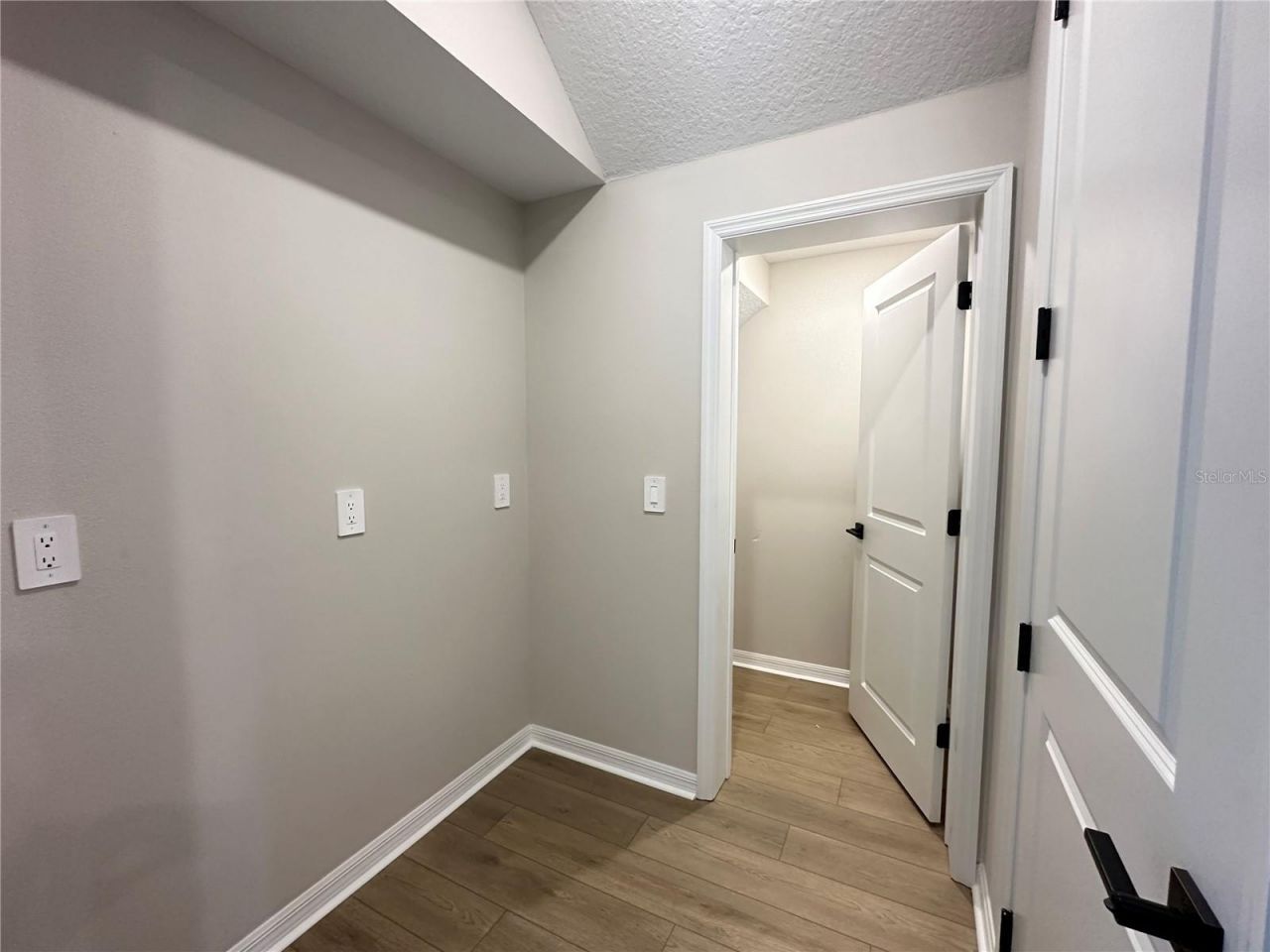 5948 Fresh Flora Drive, Wimauma, FL 33598 Photo