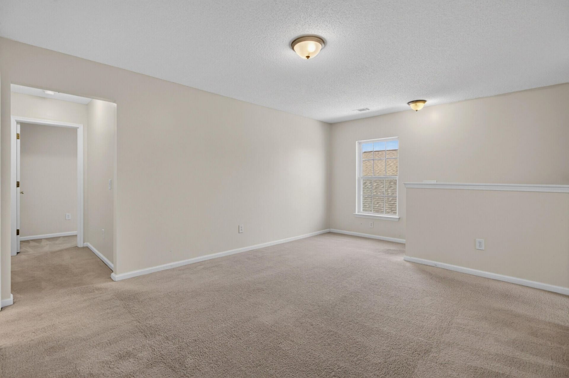 315 Bradley Bend Drive Photo 19