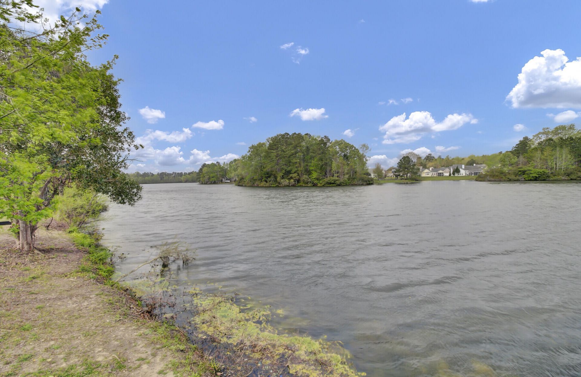 315 Bradley Bend Drive Photo 21