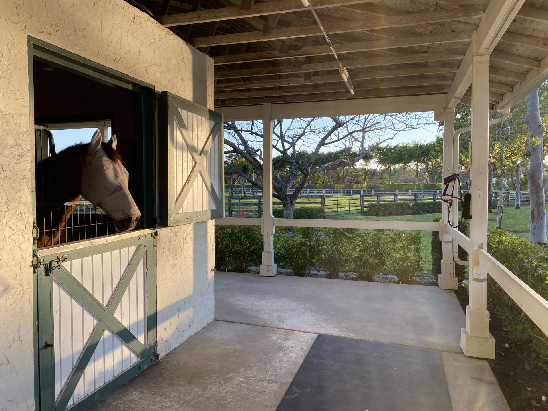 5110 S Shore Boulevard, Wellington, FL 33449 Photo
